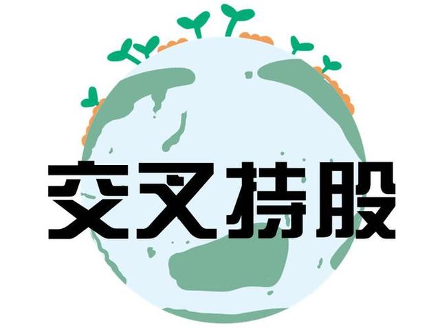 交叉持股安排设计(交叉持股怎么计算持股比例)包头市